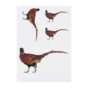 4 x 'Pheasant' Temporary Tattoos / Transfers (TO00033209)
