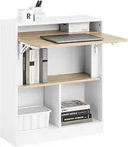 SoBuy Home Office Wall Foldable Table Computer Desk with 5 Storage Shelves FWT104-WN