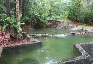 佩麥雨林渡假村