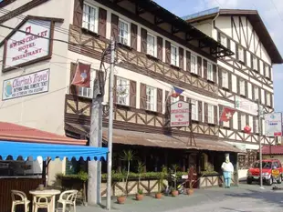 瑞士小屋飯店Swiss Chalet