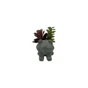 Flower Pot with Plastic Succulents - Frog