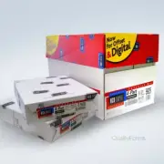 Appleton NCR Carbonless Paper: 4-Part 8-1/2x11 (1250 Sets/5000 Sheets) Straight