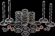 KW Complete Black Diamond Engine Valve Kit Harley Dyna Low Rider 99-04