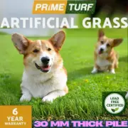 Primeturf Artificial Grass 30mm 2m x 5m Synthetic Turf Plastic Plant 4-Coloured