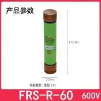 在飛比找露天拍賣優惠-BUSSMANN熔斷器 FRS-R-45 45A 600V 