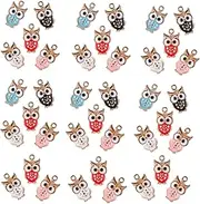 [HAPINARY] Diy Owl Charms Pendants 50 Pack Enamel Owl Charms Stylish Oil Drip Great for Necklace Earring Bracelet Anklet Home Decor