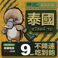 在飛比找momo購物網優惠-【鴨嘴獸 旅遊網卡】泰國eSIM 9日 吃到飽 高流量網卡 