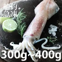 在飛比找蝦皮商城優惠-南海豐【船釣！活凍透抽】300-400g/尾 捕撈船上急凍透