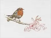 Thea Gouverneur - Counted Cross Stitch Kit - Spring Robin Bird - Aida - 16 Count - Embroidery Kit for Adults - DMC Embroidery Threads and Other Cross Stitch Supplies Included - 791A
