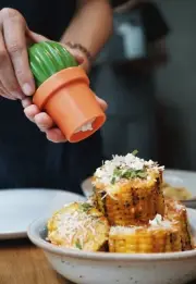QUALY TASTY CACTUS (GRINDER)