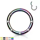 CZ Flush Set Front Facing 16G 316L Surgical Steel Hinged Segment Septum Ring