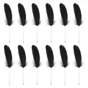12pcs Feather Ballpoint Pens 0.5mm Ink Quill Writing Pens for Office