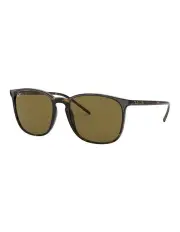 [Ray-Ban] Brown RB4387F Sunglasses