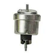 Mackay Engine Mount - A2624H