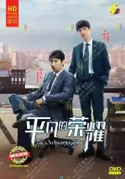 Chinese Drama DVD: The Ordinary Glory 平凡的荣耀 Eps 1-41 END English Subtitle