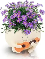 Small Guitar-Shaped Smiley Face Planter with Drainage Hole - Cute Resin Flower Pot for Succulents, Indoor/Outdoor Mini Garden Decor, Great for Music & Plant Lovers