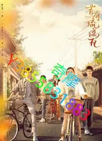 在飛比找Yahoo!奇摩拍賣優惠-DVD 專賣店 昔有琉璃瓦DVD