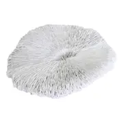 Decorative Polyresin 17cm Mushroom Coral Home Decor Centrepiece Display White