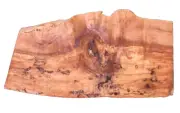SPALTED MAPLE BURL SLAB TURNING CRAFTING WOODWORKING APPROX 26x14x1 IN