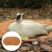 4Pcs Replaceable Chicken Nesting Pads Reusable Hens Nest Mats Hen Nesting Box