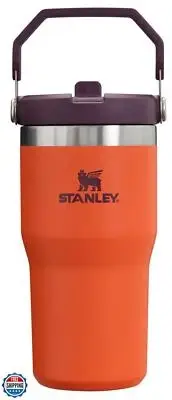 Stanley IceFlow Flip Straw Tumbler with Handle 20 oz | Twist On Lid and Flip