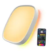 Smart Ceiling Light, RGBIC LED Square Ceiling Light Fixture Works with