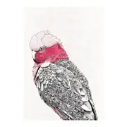 Maxwell & Williams Marini Ferlazzo 50 x 70 cm Galah Tea Towel