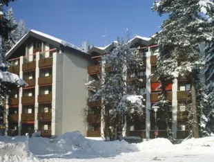 阿爾卑斯山酒店