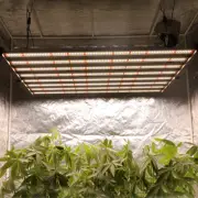6500W LED Plant Dimmable Grow Lights 8bars Full Spectrum for Indoor Hydroponics