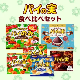 『博多屋』 日本直送 LOTTE樂天 派之實巧克力 巧克力 點心