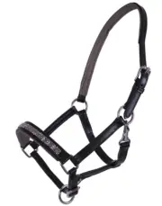 QHP Lupine Leather Foal Halter - Black