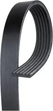 Gates K060612 Micro-V Serpentine Drive Belt for BMW, Ford & Porshe Models (for: Ford)