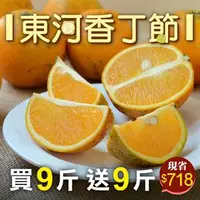 在飛比找台灣好農優惠-東河李姐晚崙西亞橙(買一送一，9+9台斤)