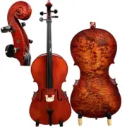 Professional SONG Cello 4/4 Size Bird eye Curly maple wood,old spruce #15951