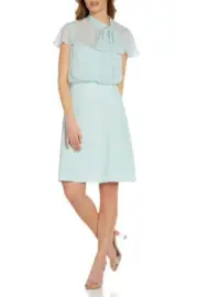 Adrianna Papell Tie Neck Illusion Sleeve Keyhole Back A-Line Crepe Chiffon Dress