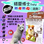 🍀小福袋🍀精靈博士 DR.PET➤犬用 M號(20KG以上)  滴劑  5*2ML➤狗用