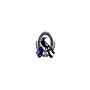 Collingwood Magpies AFL Logo Pin