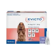 Evicto Spot On Flea & Worm Treatment for Medium Dogs 10.1-20kg Pink 4 Pack