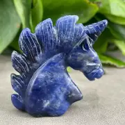2" Natural sodalite quartz hand carved crystal unicorn skull reiki healing 1pc