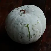 Wax Gourd - Winter Melon Round seeds