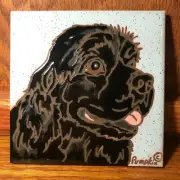 Cocker Spaniel Dog- Painted tile by Pumpkin Tile - D461K - 6 x 6" - Choose color