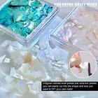 1 Box Nail Ornament Irregular Shape Diy Nail Jewelry Shell Natural Shell Pieces