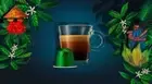 NESPRESSO LIMITED EDITION: 400 X STRONG!! ROBUSTA UGANDANESPRESSO COFFEE PODS !