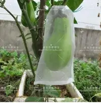 在飛比找樂天市場購物網優惠-防鳥網 水果防蟲袋防鳥網袋 瓜果葡萄火龍果防果蠅套袋尼龍網袋