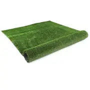 10SQM OTANIC Artificial Grass Synthetic Turf Fake Yarn Lawn 12mm 2x5m