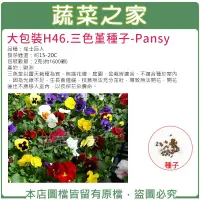 在飛比找蝦皮購物優惠-【蔬菜之家滿額免運】大包裝H46.三色堇種子2克(約1600