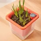 Plastic Flower Pot Self Watering Vegetable Planter Plant Container Yard Patio