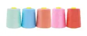 5 Pack of Serger Threads Pastel Threads for Sergers Machine - Sewing Thread C...