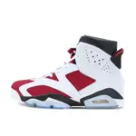 NIKE AIR JORDAN 運動鞋 6 RATRO RETRO 2014 CARMINE 新品 384664-160