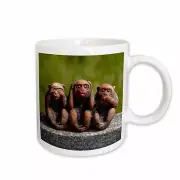3dRose 3 Monkeys, hear, see, speak no evil Mug